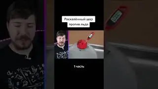 МИСТЕР-БИСТ