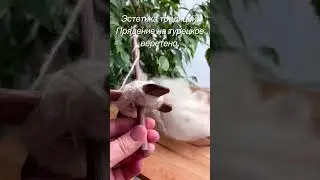Канал для тех, кто любит красивые вещи.