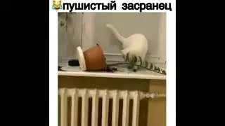 Пушистый засранец 