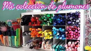 MI COLECCIÓN DE PLUMONES + ORGANIZADOR