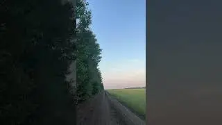 Летний вечер 💛