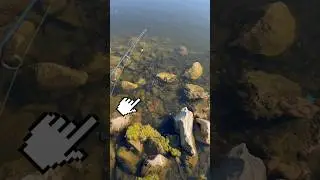 CAUGHT A Fish INSTANTLY (.0002 Seconds)!! 🎣🐟 