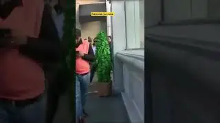 bushman scares pretty girls 