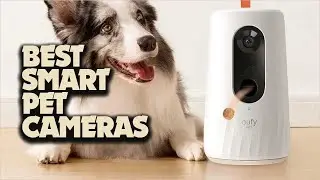 5 Best Smart Pet Cameras to Stay Connected with Your Critters!