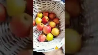 Супер конь - будешь яблоко? 🤣 