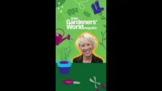 Picking plants for PROBLEM PLACES: Carol Klein's expert advice