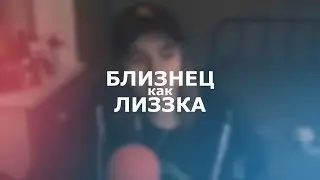 знак зодиака как лиззка (близнец)