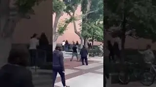 Нападение армян на турецких дипломатов