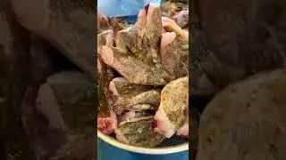 Instructions for dissecting common fish species
