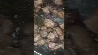 ЖАРЕННАЯ КОНИНА ПО ПОНЯТИЯМ