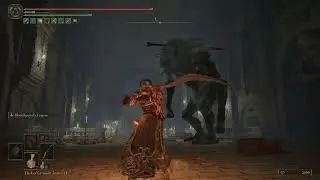 Elden Ring | Giant doesn't want to play