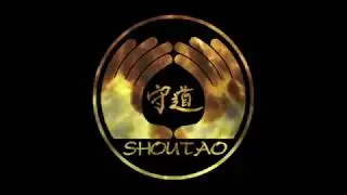 Обучение рукопашному бою в манере Шоу-Дао / Shou-Tao martials