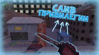 СЛИВ ПРИВИЛЕГИИ | ОБЗОР CSDM СЕРВЕРА - Counter-Strike 1.6