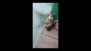Серия 2 загарать в водваре