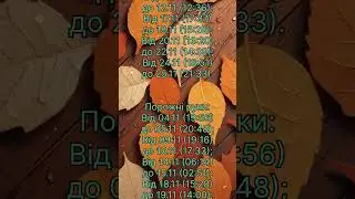 Листопад 2024