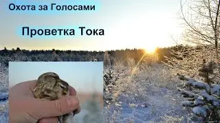 Охота за Голосами  -  Проверка Тока , Чечет по снегу