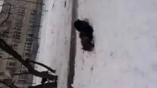 Похуистичная сука://