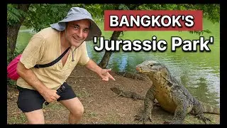 Giant Monitor Lizards of Lumphini Park. Where To Travel in Bangkok 🇹🇭