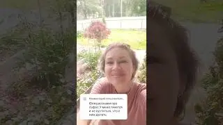 #лофос