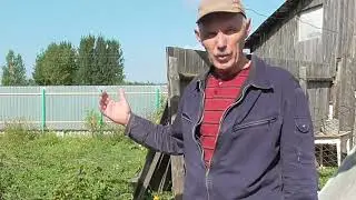 Двускатная крыша бани // Болячка у крыши залечена
