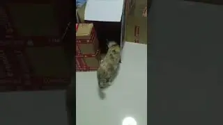 แม่นางท่าเยอะ
