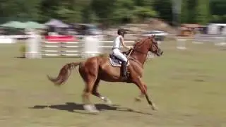 Danila Schröter und Chaccolisto - Punktespringprüfung Kl. M*Chaccolisto Boock