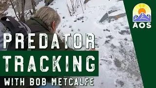 Predator Tracking with Bob Metcalfe