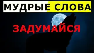 МУДРЫЕ СЛОВА! ГЕНИАЛЬНЫЕ ЦИТАТЫ!