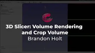 3D Slicer - Volume Rendering and Crop Volume