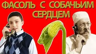 Как прорастить семена фасоли