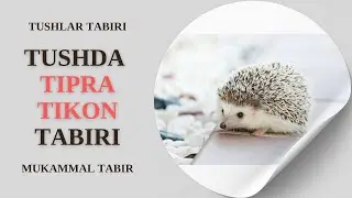 TUSHDA TIPRATIKON TABIRI | TUSHDA TIPRATIKONNI KO'RISH NIMAGA TABIR BO'LADI?