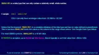 SQL 040 Data Types, Exact Numeric, SMALLINT