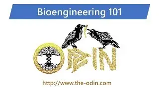 Bioengineering 101 - Class 2 - Secrets of Cell Biology