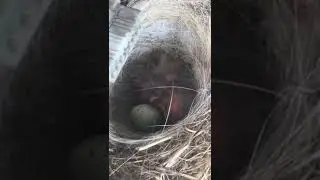 Не оставляйте машины надолго