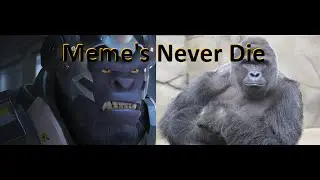 We're all Harambe Now! - Overwatch Gameplay