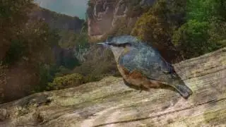 Tranquility of Spirit (composed by Boni Li-A-Sam)