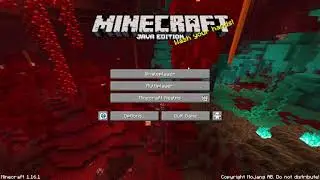 9 Glitches in 1.16 Minecraft