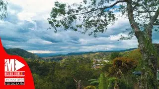 Vereda Los Amarillos - San Miguel, La Vega - Cauca - Melodía Films - 3134539272