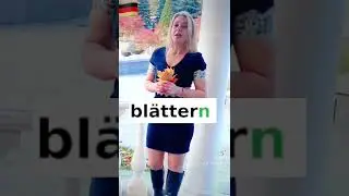 Множественное число в немецком языке- немецкие слова в ассоциациях Фрау Анжелика