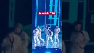 Stray Kids perform ITEM •• KSPO Dome •• #straykids #kspodome #fanmeeting