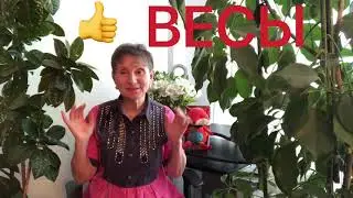 МАРТ 2021   🔴 Рак 👍 🔴 Весы 👍 🔴 Рыбы 👍