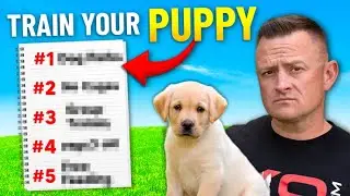 How to Train Your NEW Puppy! - 5 Simple Steps