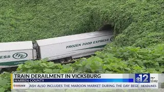 Man rescued after train derails in Vicksburg