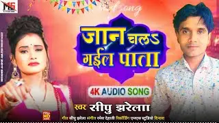 new song जान चलऽ गईल पाता सीपु झरेला sad superhit song shipu jharela 2024 ka sad