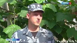 Вести Поморья Тепличное хозяйство