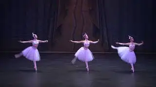 [2019 Rising Stars] 프레스코 Frescoes