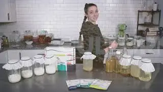 How To Activate Your Water Kefir Starter Grains