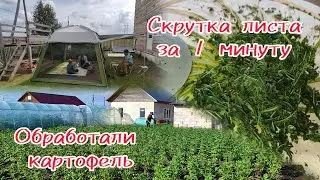 Останемся без огурцов // Проводим обработку картофеля // Скрутка листа чая за 1 минуту