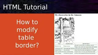 HTML TABLE BORDER tutorial