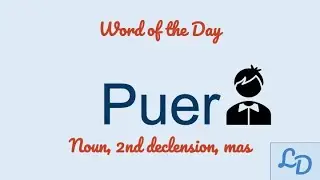 Word of the Day: Puer